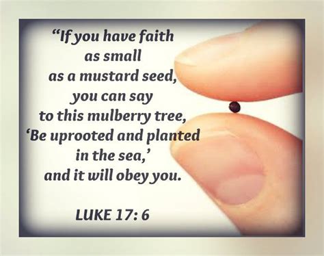 Faith Luke 176 Mulberry Tree Luke 17 Faith