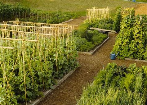 Make Japanese Bamboo Fences And Trellises Gardeners Supply