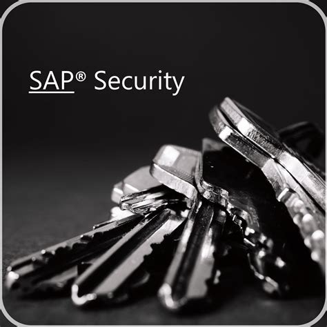 Sap Security Audit Check Iflux Gmbh Germany