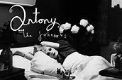 A song (or two) per day: Fistful of love - Antony & the Johnsons (feat ...