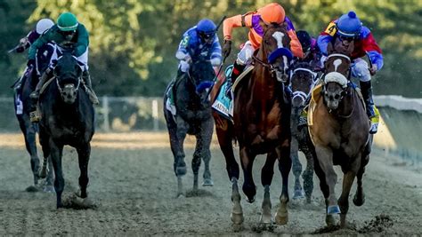 Road To 2020 Breeders Cup Three Heating Up Three Cooling Down For
