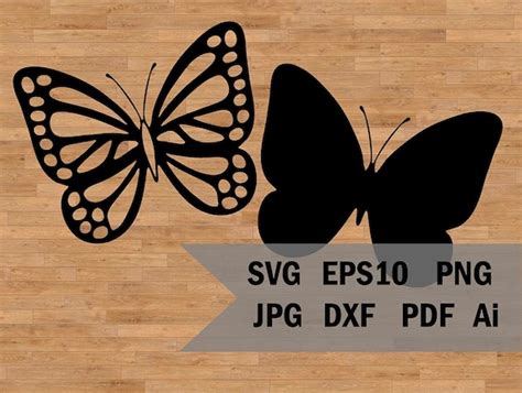 Butterfly Svg Files For Cricut Butterfly Vector Images Png Etsy