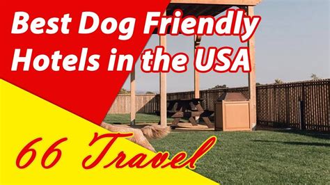 List 5 Best Dog Friendly Hotels In The Usa 66travel Youtube