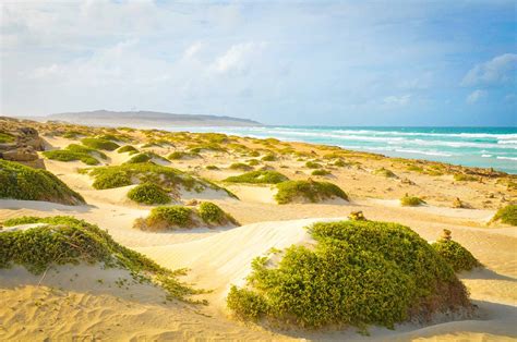 Best Beaches In Africa Rough Guides