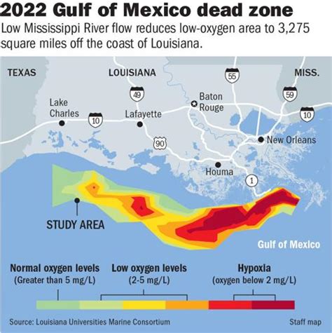 Gulf Dead Zone To Be Smaller But Twice Reduction Goal Environment