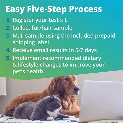 Pet Food And Environmental Intolerance Test Dogs And Cats 5strands