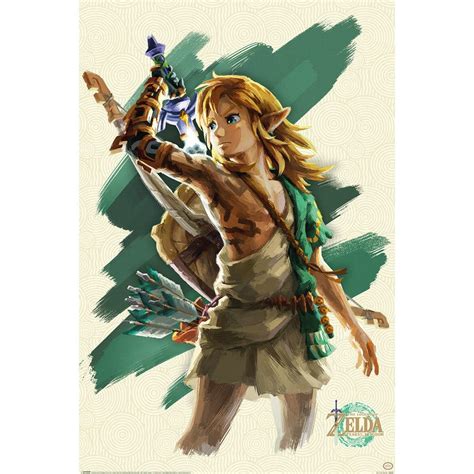 The Legend Of Zelda Tears Of The Kingdom Poster Link Poster