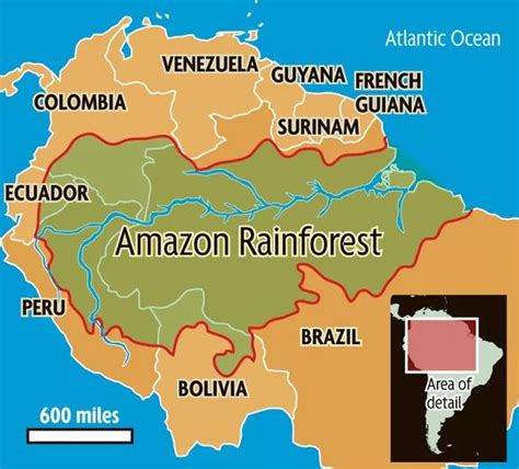 Map Amazon Rainforest Brazil Share Map