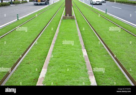 Tramway Tracks On Green Lawn Stock Photo Alamy