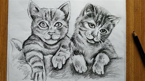 This post on tips for drawing food will help you create recognizable, appetizing foods in your drawing. how to draw cat with pencil sketch for beginners step by step,easy cat drawing,animals drawing ...