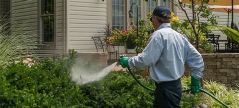 Best Time To Fertilize Your Lawn How Often You Should Apply Fertilizer