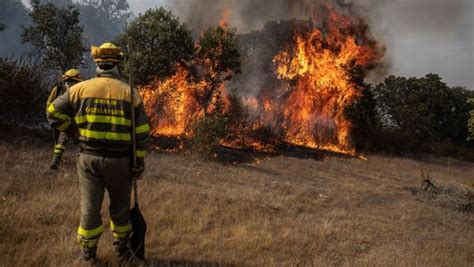 A Prisión Por Provocar 18 Incendios Forestales En Zamora
