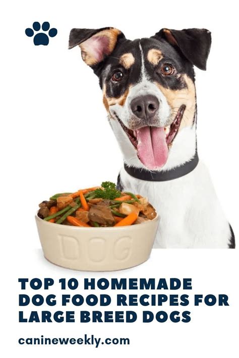 All natural dry pet food for large and small breed can diabetic dogs be treated at home? 10 Best Homemade Dog Food Recipes for Large Dogs | Dog ...