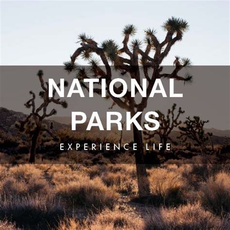 The Rvers Ultimate Adventure Travel Resource To National Parks La