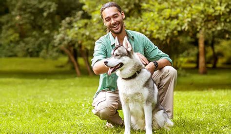 Dog Human Relationship Mirrors The Social Skills Of Wolves