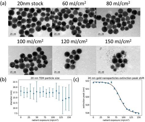 A Representative Tem Images Of 20 Nm Gold Nanoparticles After