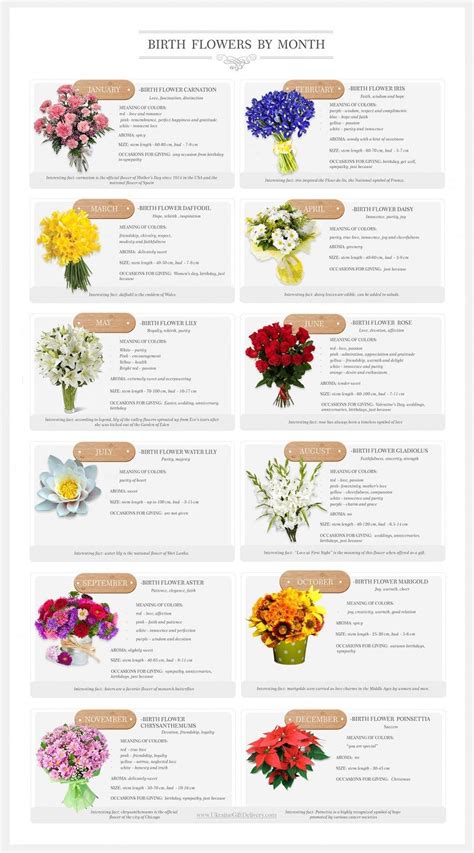 To determine a birth flower (and therefore its meaning) by date of birth, need to know the day and month. The Ten Steps Needed For Putting Flowers By Tess New York ...