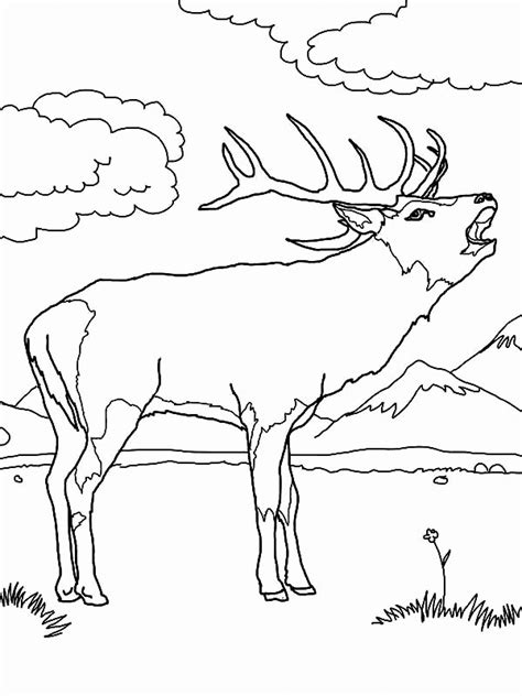 Elk Coloring Pages - Best Coloring Pages For Kids