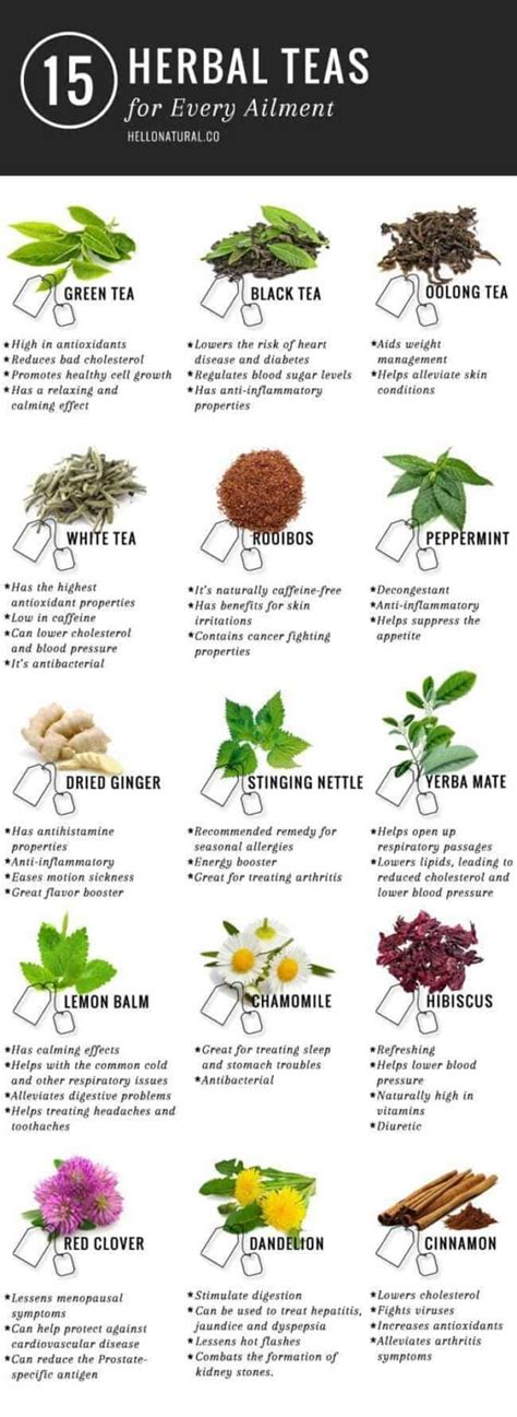 Best Herbal Teas You Need To Drink To Be Healthy