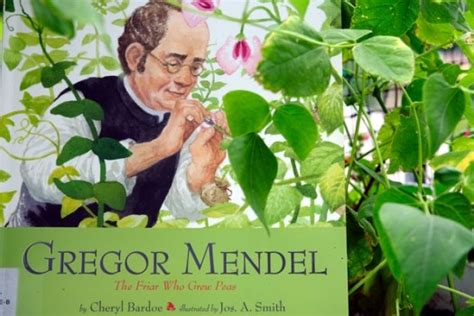 Gregor Mendel And His Peas — Beyond The Glass Mountains