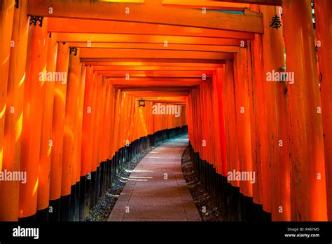 Fushimi Inari Shrine Kyoto Japan Stock Photo Alamy