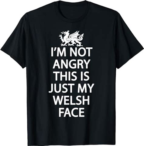 Funny Wales T Shirt Welsh T Shirt Dragon Welsh Flag Shirt T Shirt