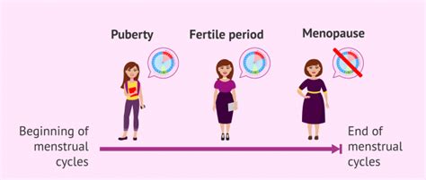 male and female fertility explained what factors can affect it