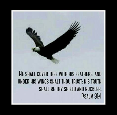Covered Psalms 914 He Shall Cover Thee With His Feathers And Under