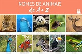 +300 NOMES de ANIMAIS de A a Z (2022)