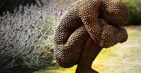 Trypophobia Test Cure And Causes Fear Of Holes In Skin