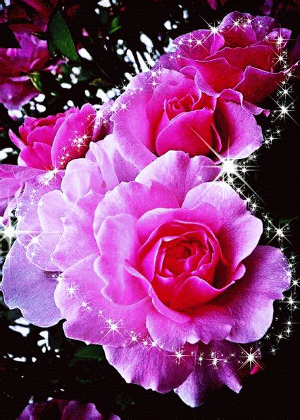 View Download Rate And Comment On This Flower Gif Flowers Gif Beautiful Flowers Glitter