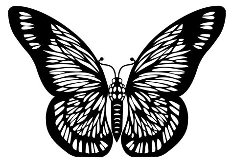 Butterfly Stencil Svg Free Butterfly Stencil Monarch Butterfly