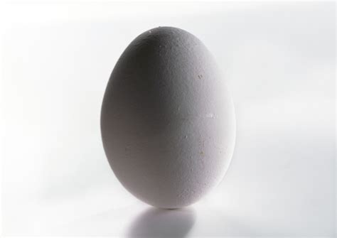 Can You Balance An Egg On The Equinox