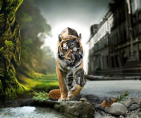 Free Download Animated Hd Tiger Tablet Pc Wallpapers