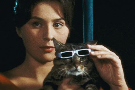 Cult Classic Czech Film About A Cat Who Wears Sunglasses Gets New Uk