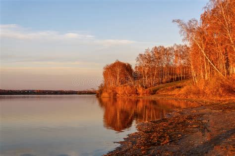 3624 Birch Grove Sunset Landscape Photos Free And Royalty Free Stock