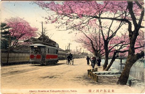 Yedogawa Tokyo C 1910 Old Tokyoold Tokyo