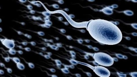 How Many Sperm Are In An Ejaculation And How Many Are Needed To