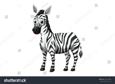 Cute Animal Cartoon Illustration Stock Illustration 1563730828