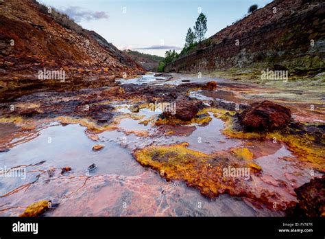 Rio Tinto River With Red Water Because It Have A Lot Of Iron Oxide