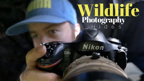 Using Hides For Wildlife Photography One Year On Youtube Nikon D4s