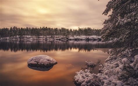 Winter Snow Lake Sunset Finland Winter Landscape Forest Hd