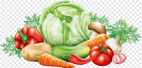 Ilustrasi Sayuran Kentang Sayuran Kubis Sayuran Makanan Alami