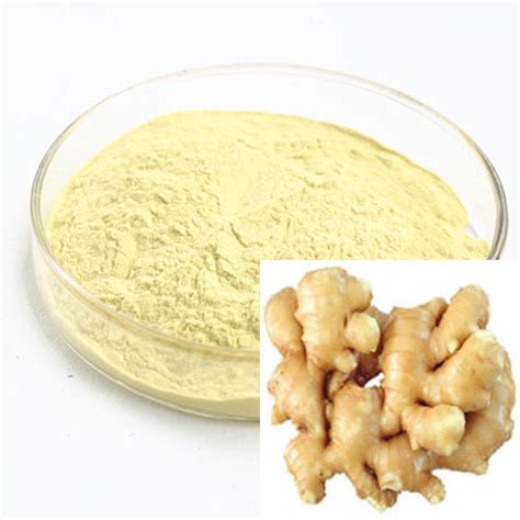 5 gingerols ginger extract for human health china plant extract and herbal extract