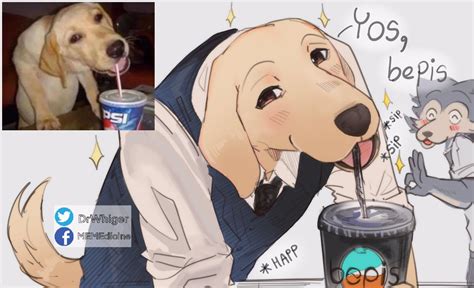 Funny Dog Eats A Bepis Beastars Know Your Meme Manga Anime Fanarts