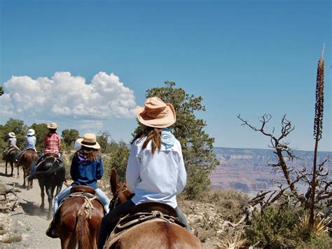 Horseback Riding In The Grand Canyon Full Guide In 2023