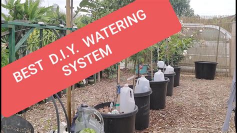 Easiest And Cheapest Diy Self Watering System For Your Plants Trees