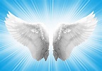 🔥 [43+] Free Wallpaper Angel Wings | WallpaperSafari