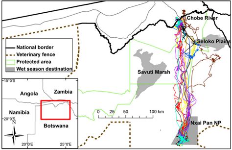 All maps are free to download. Botswana's zebra migration: Africa's longest mammal migration - Africa Geographic