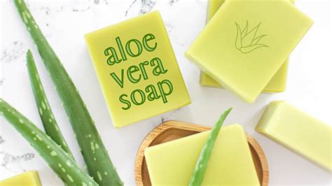 Making Fresh Aloe Vera Soap Diy Natural Cold Process Recipe With